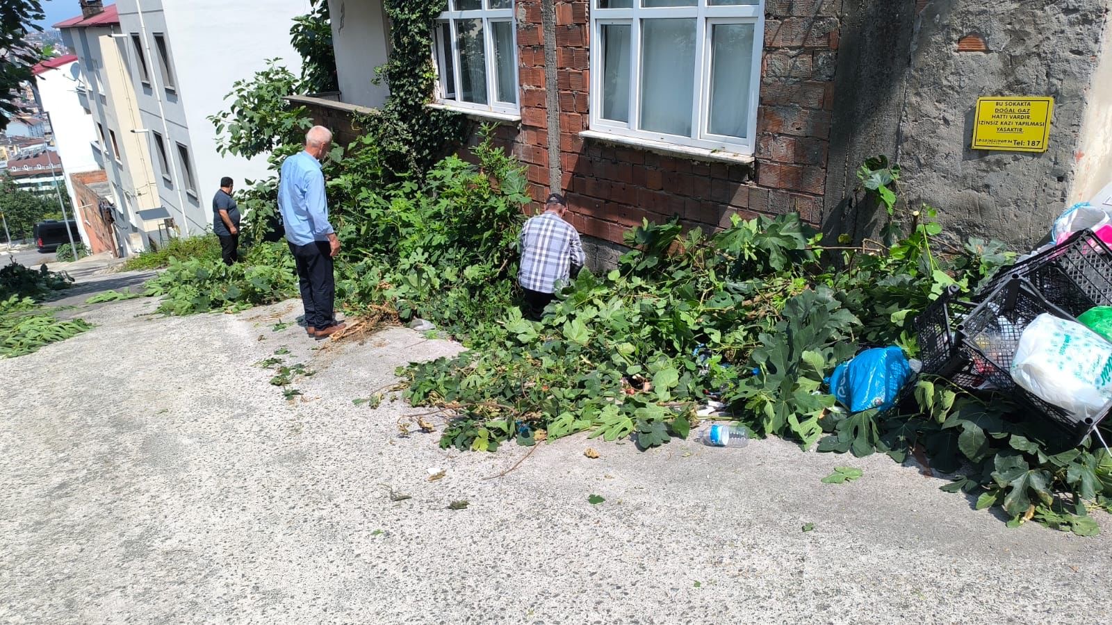 49Ed3509 5B9E 4053 8528 2370D5A4Cf8D