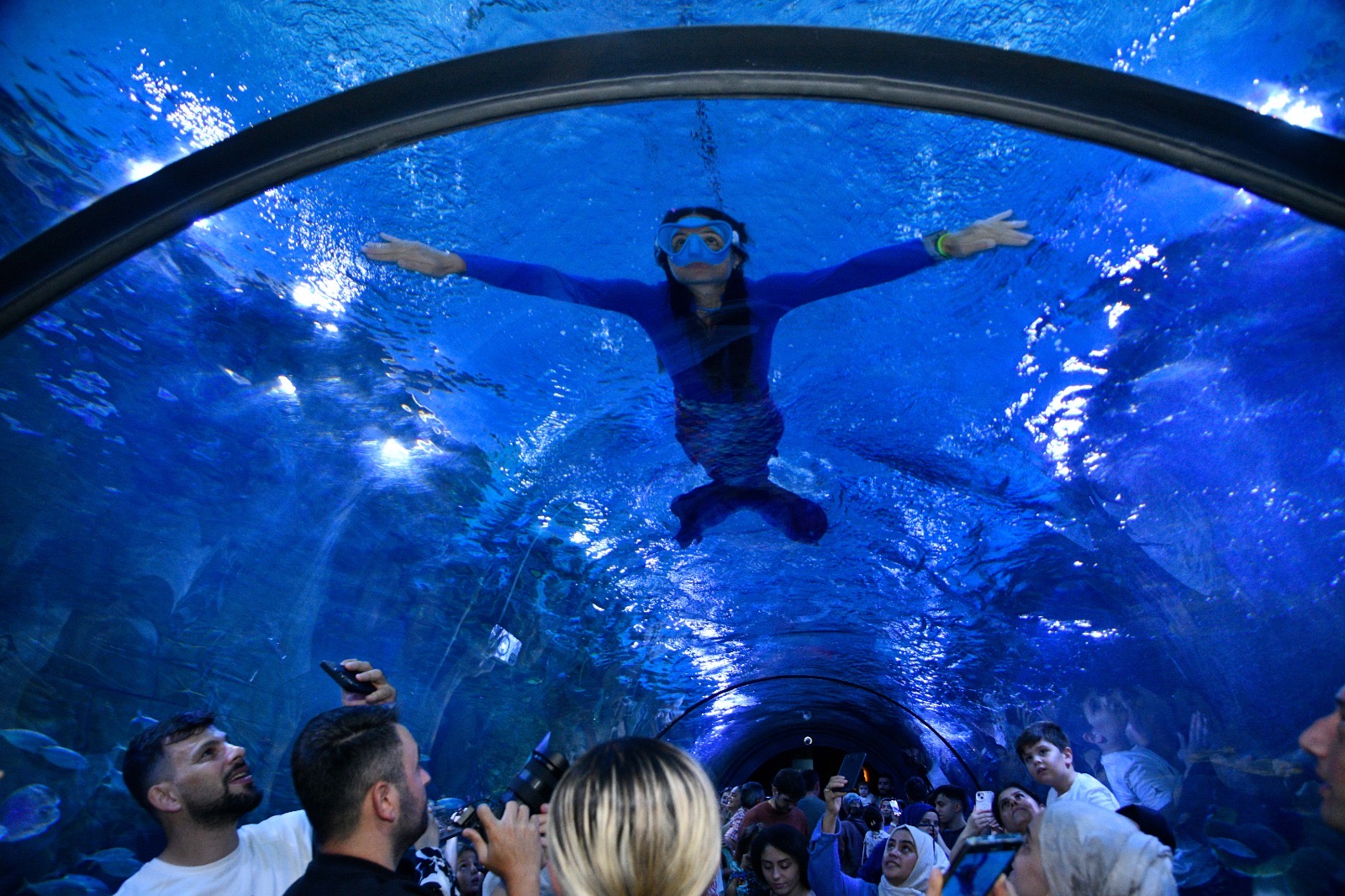 Ce45Db45 F388 430B 9B7B 5446A44Bef5C