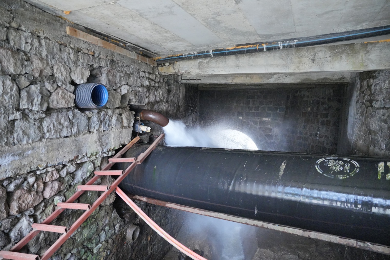 1Ace9384 7Ce3 410F B09F 269477F1B760