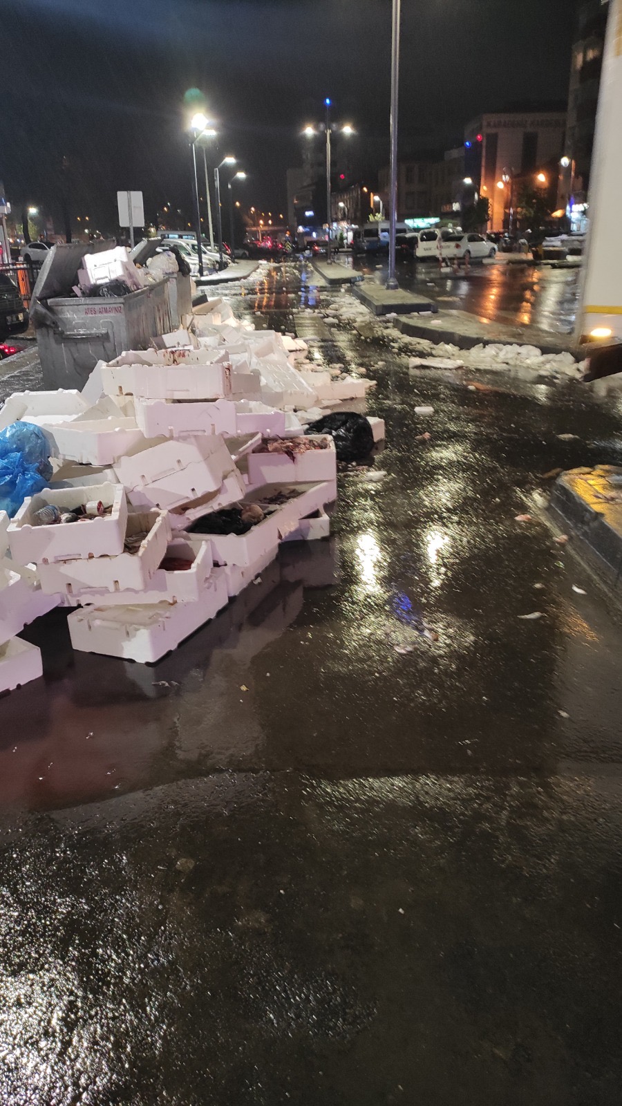 20917D0C 31B7 4F85 93A9 Da240937Ba68