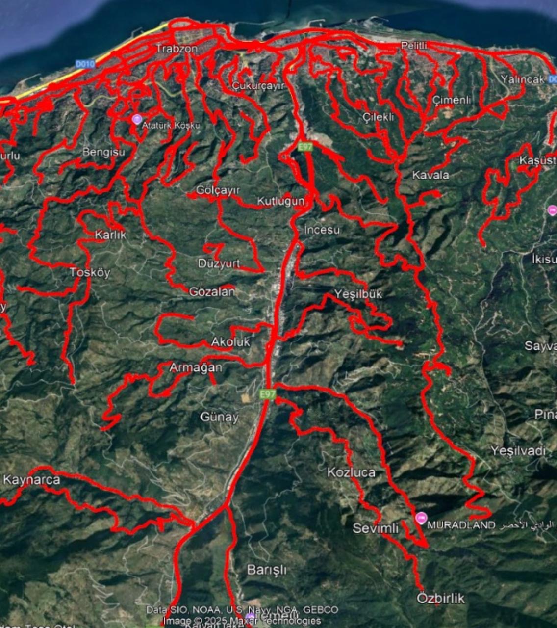 40B17Ecf 7729 41C2 8C3F 1Dca2F37Acad