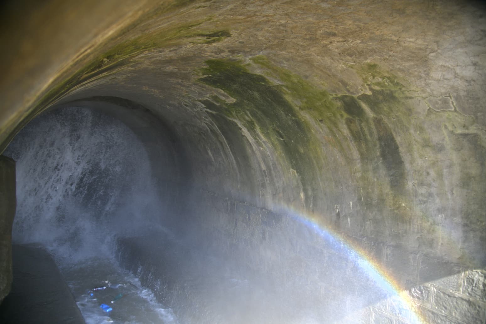 4Af22009 7Fee 4E99 800B 83A2Dc5Dbeab