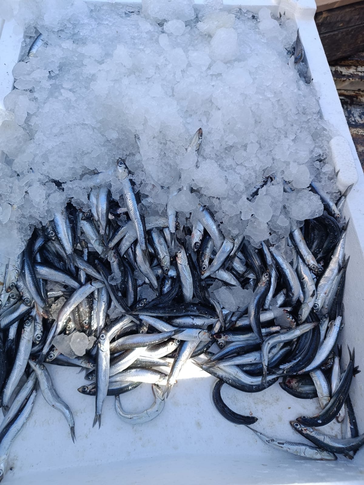 5C06176A A8Fd 4F08 Bbbd Eb6934F9Cd89