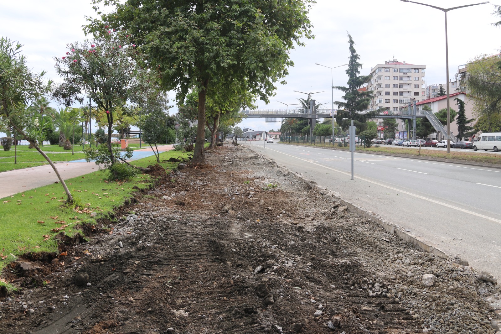 616F2485 852F 412C Ae0D Deb38849C1Ff