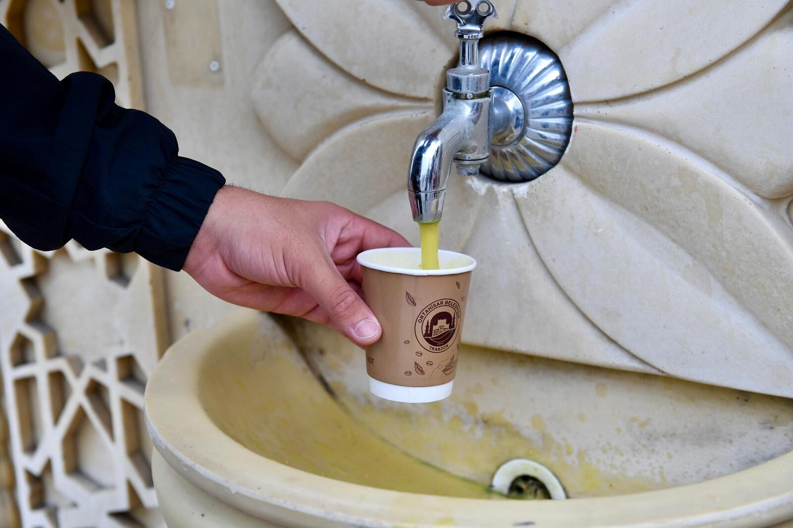 633Fd56C 86Fd 429C A477 C6B5E02278Cc