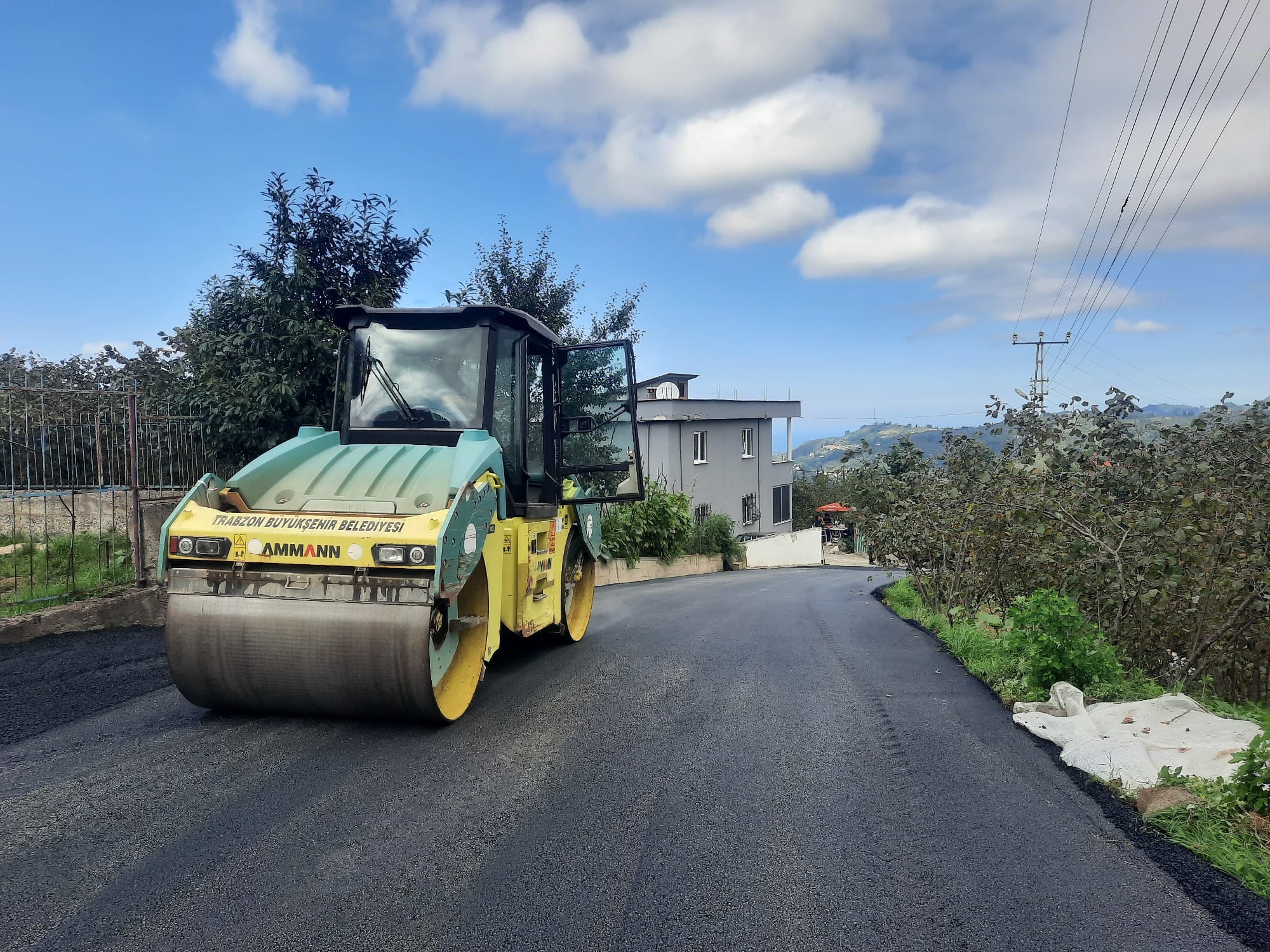 945B7F34 9955 4569 B3F1 3D4442C3Dede