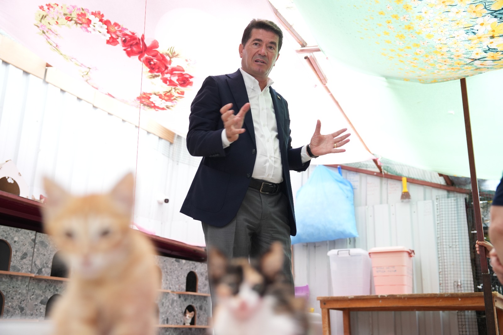 98Ff4776 1F69 46Fd B9A2 9D9866Ce6542