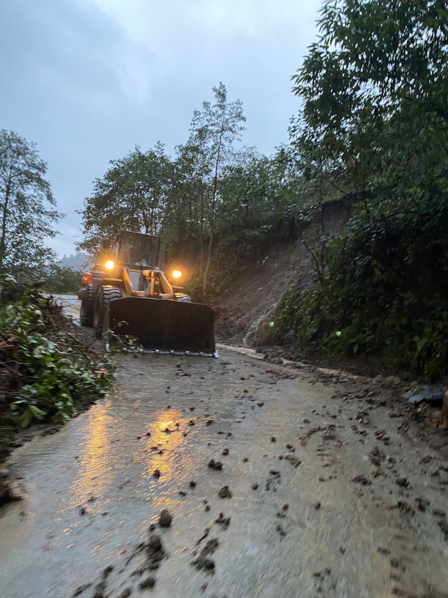 A088A429 C7A2 42F9 9A70 3482Fa060E31