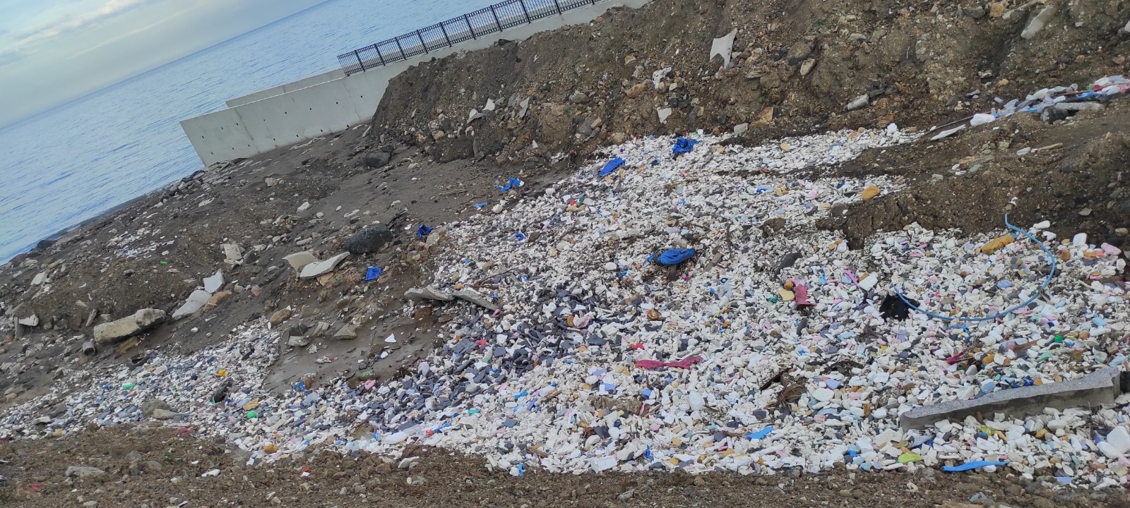 B42Fd529 35D8 446E A527 2De4031C65Cf