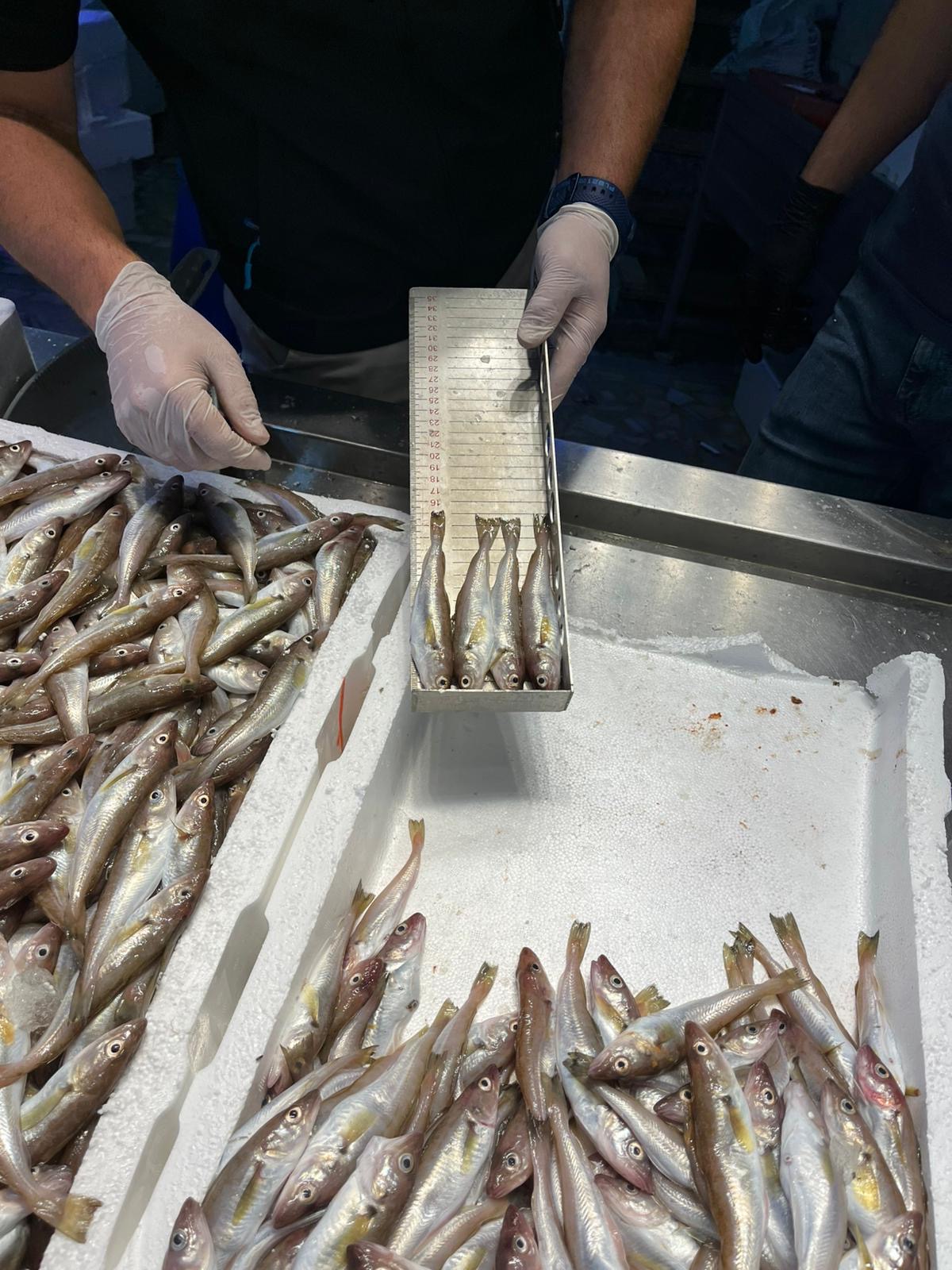 Dae00F58 211E 4Ab8 A84F Dfbe55De3620