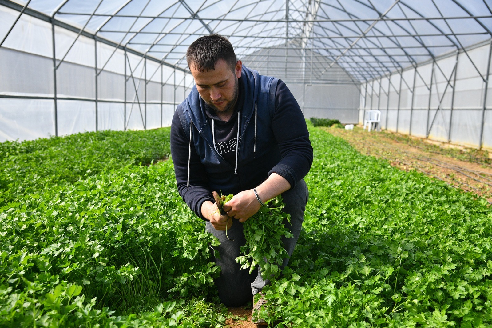 Db845F79 F4A7 4D95 B48A 1Faee136Ad6E