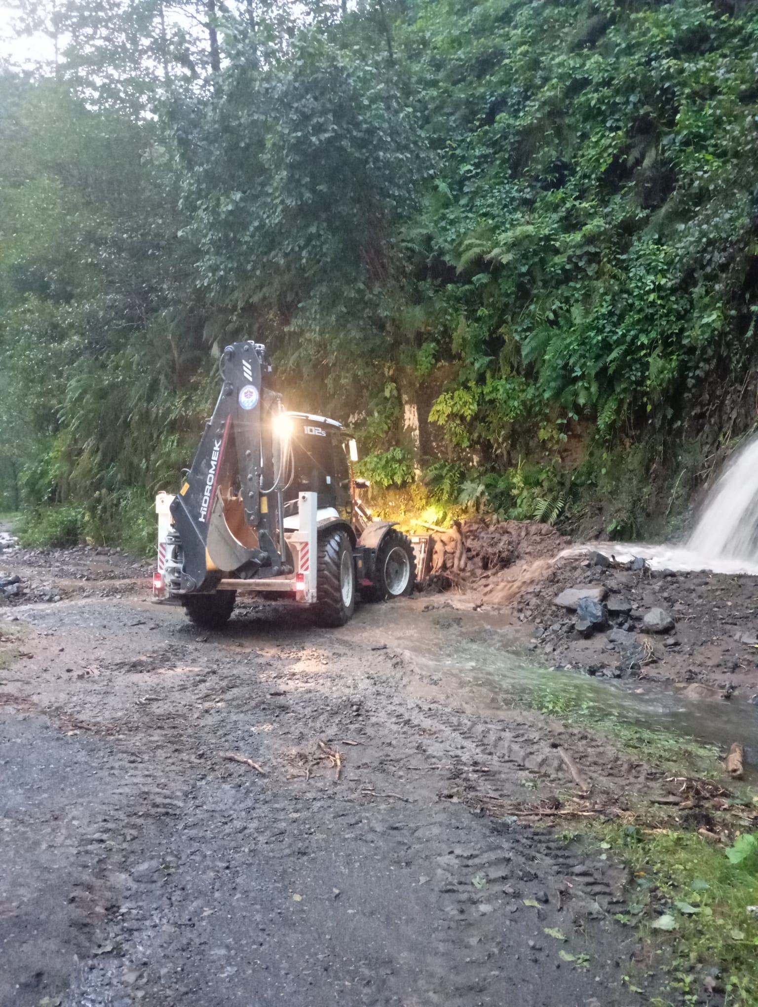 E517Af74 10Bf 40E2 A053 20180Dc7381B