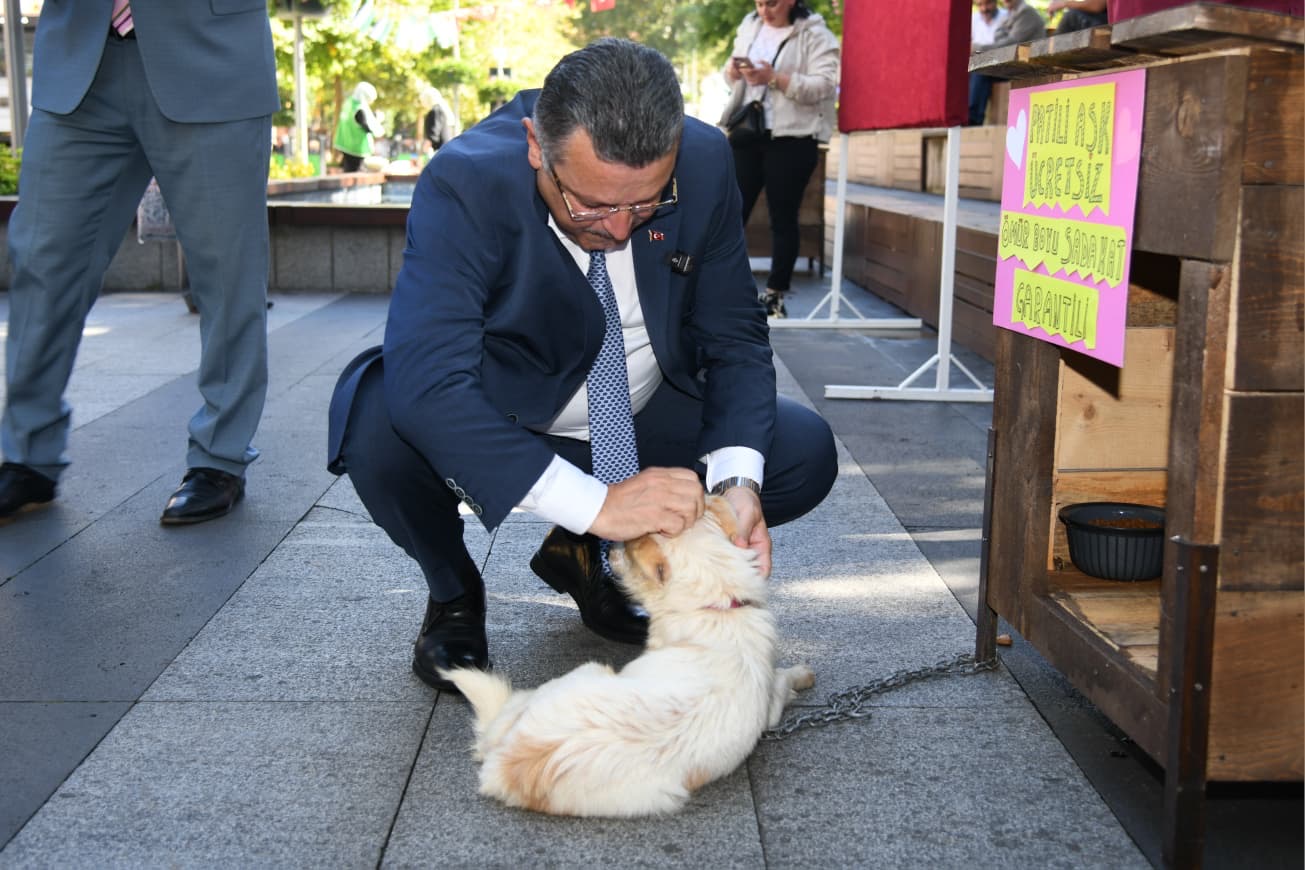 1C446267 2639 4038 8735 A125F92C6065