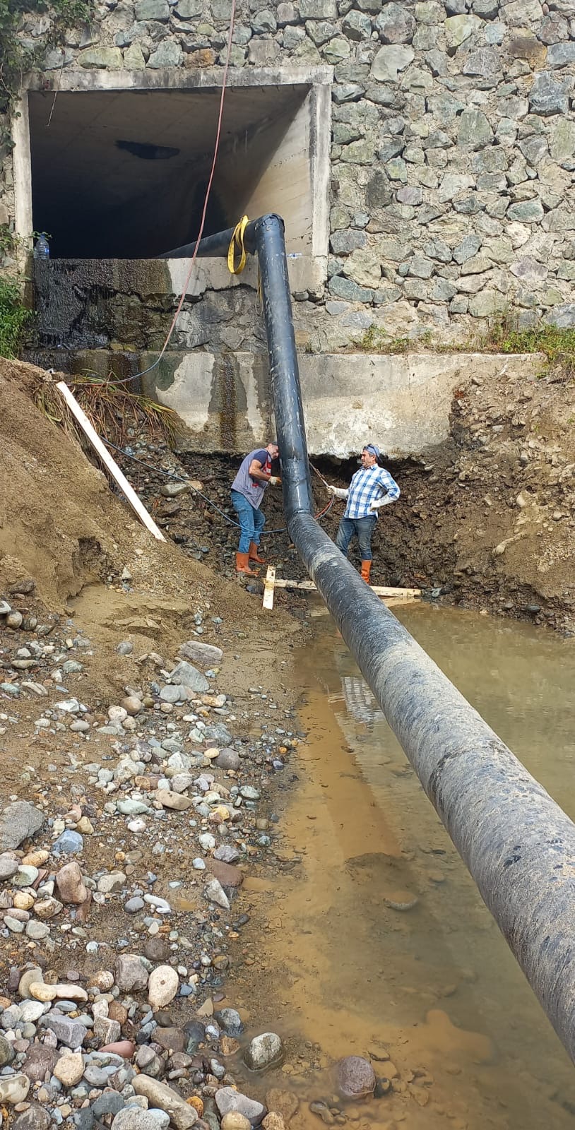 23Fc02F7 6253 49E1 81B8 29525B91C25E