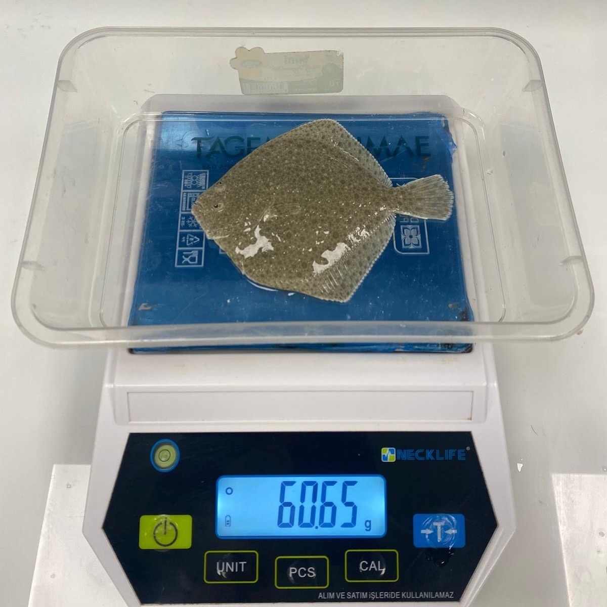 27Dcbd4F Bea3 4132 98A5 13F5Ce6Af3Ec