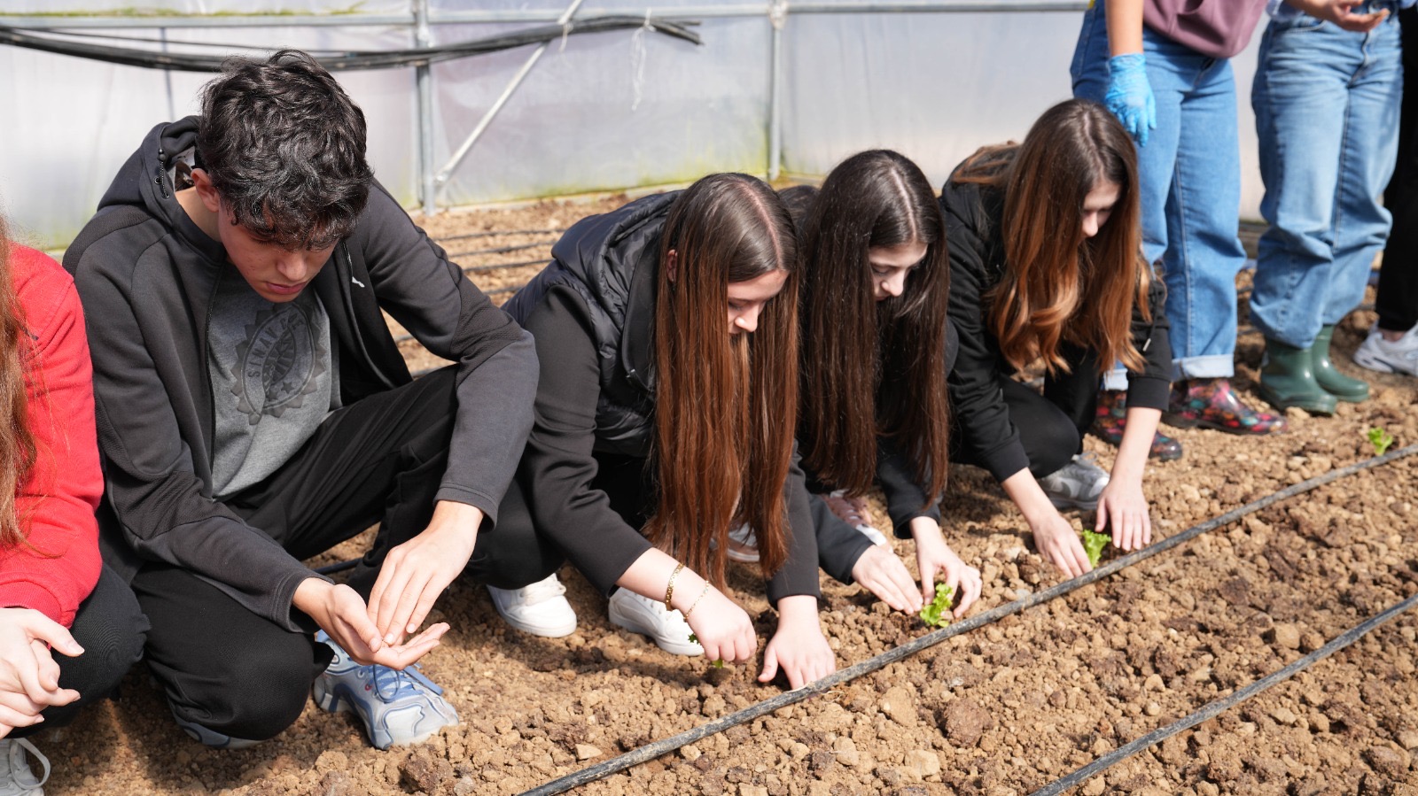 7Ba51D18 470D 4450 A705 410Fb48F3Cf6