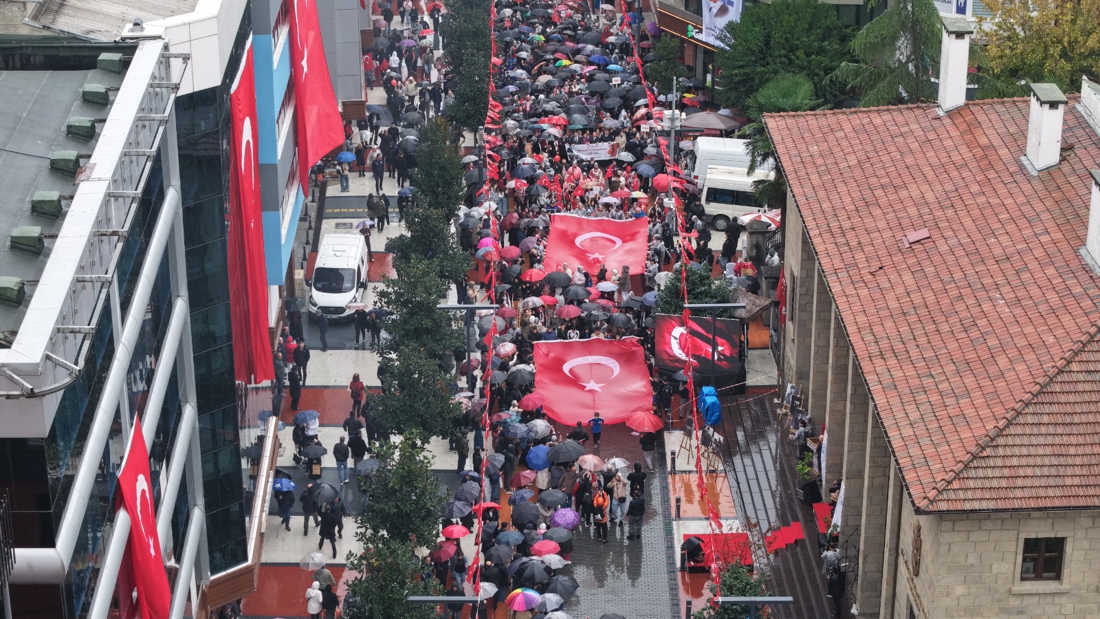 96126313 82E2 49Cc Bba4 0A471253Af7D-1