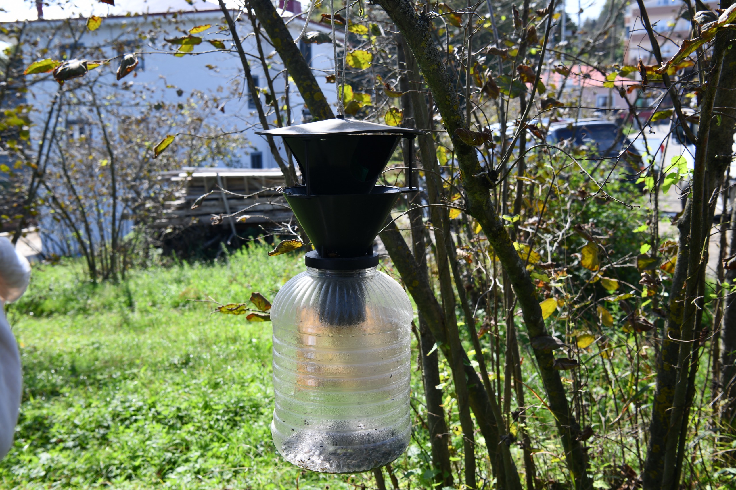 Ec72F54D 2Eeb 4B74 Bb78 69C0037809Ea