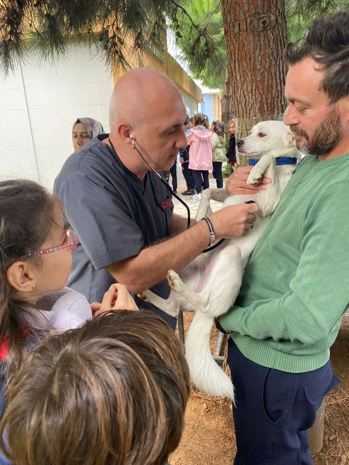 Ee6A156D Cbdb 4581 8B19 9Bea69816E5A