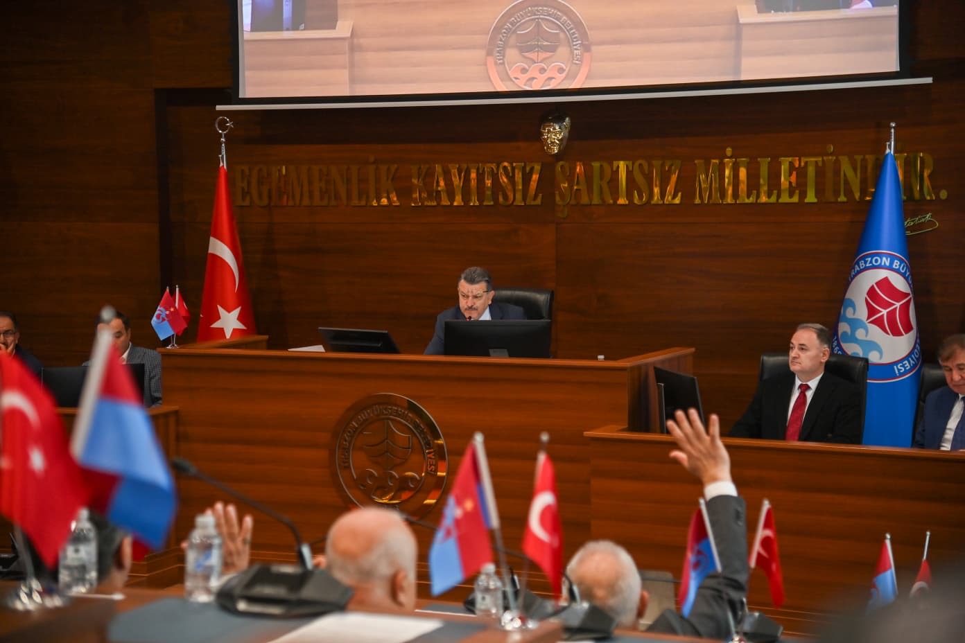 56944E38 344A 4151 B7Ba 12885503B9F2