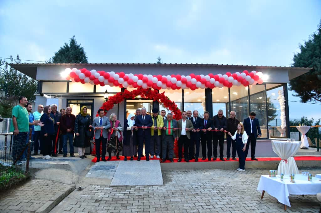 66B58Edb 3Bb1 413D A14F 3B2Ec0Dd4120