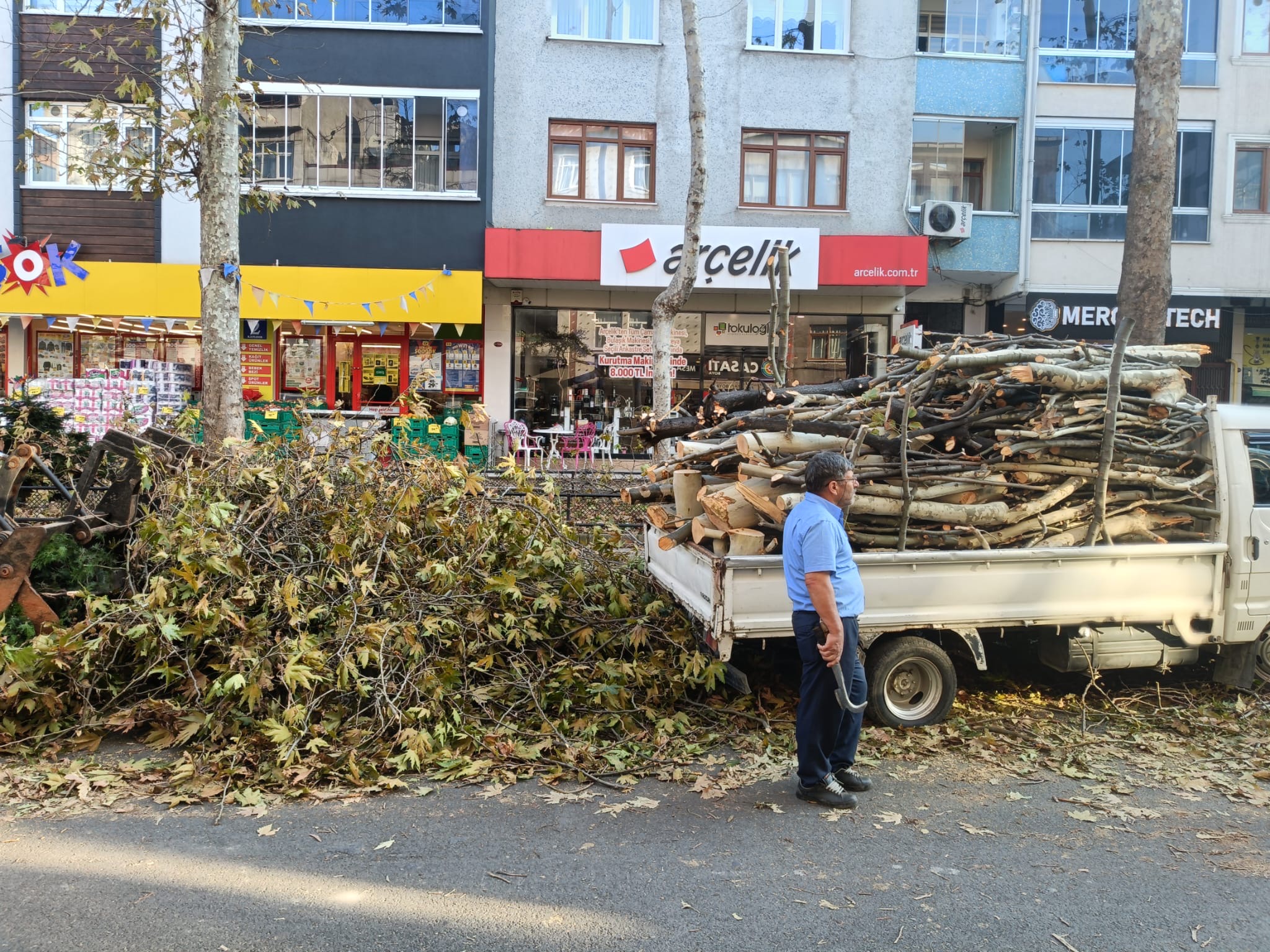 6B3B875B 9Fe2 4D09 93F3 6D301Cf36978