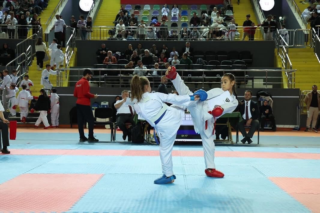 794B1E74 7171 4366 B16C Ff7Fe8E8C73E