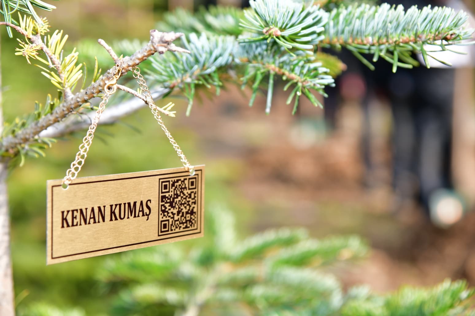 79Ef0B19 8Acb 4879 B593 A1C2B31D9C23