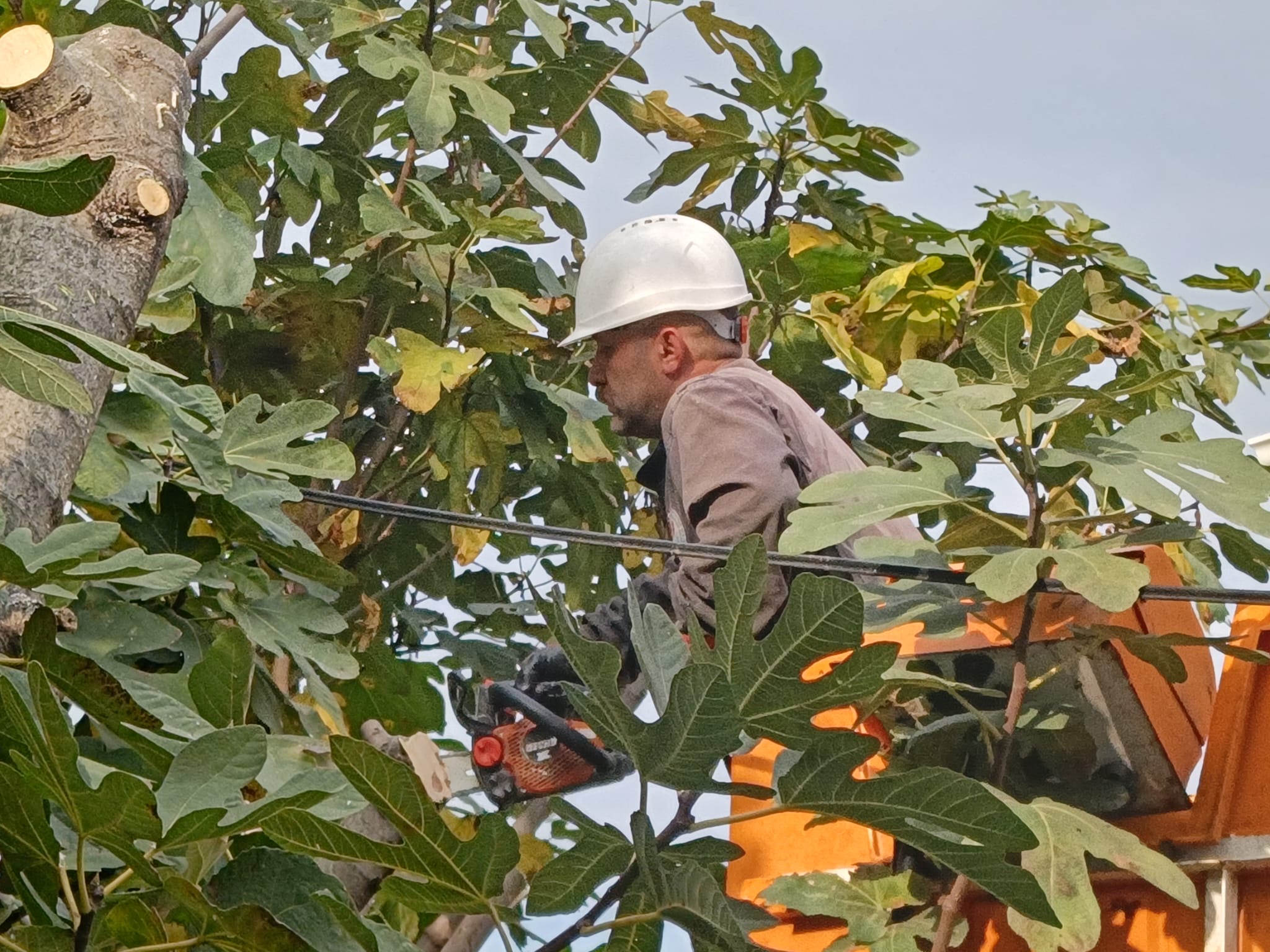 B891E2F0 40B1 49D6 8609 275E169E1083