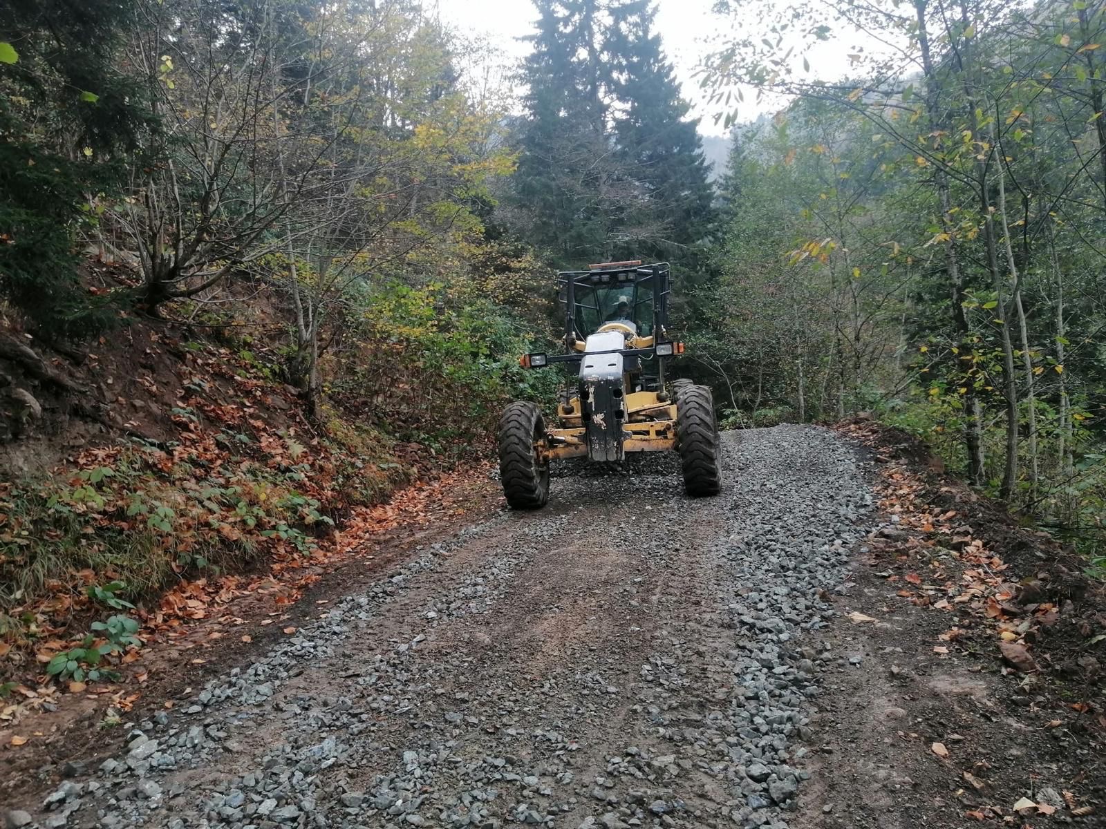 Cd36Bfd8 59E8 47C1 9Ccd 24Ecf944D629