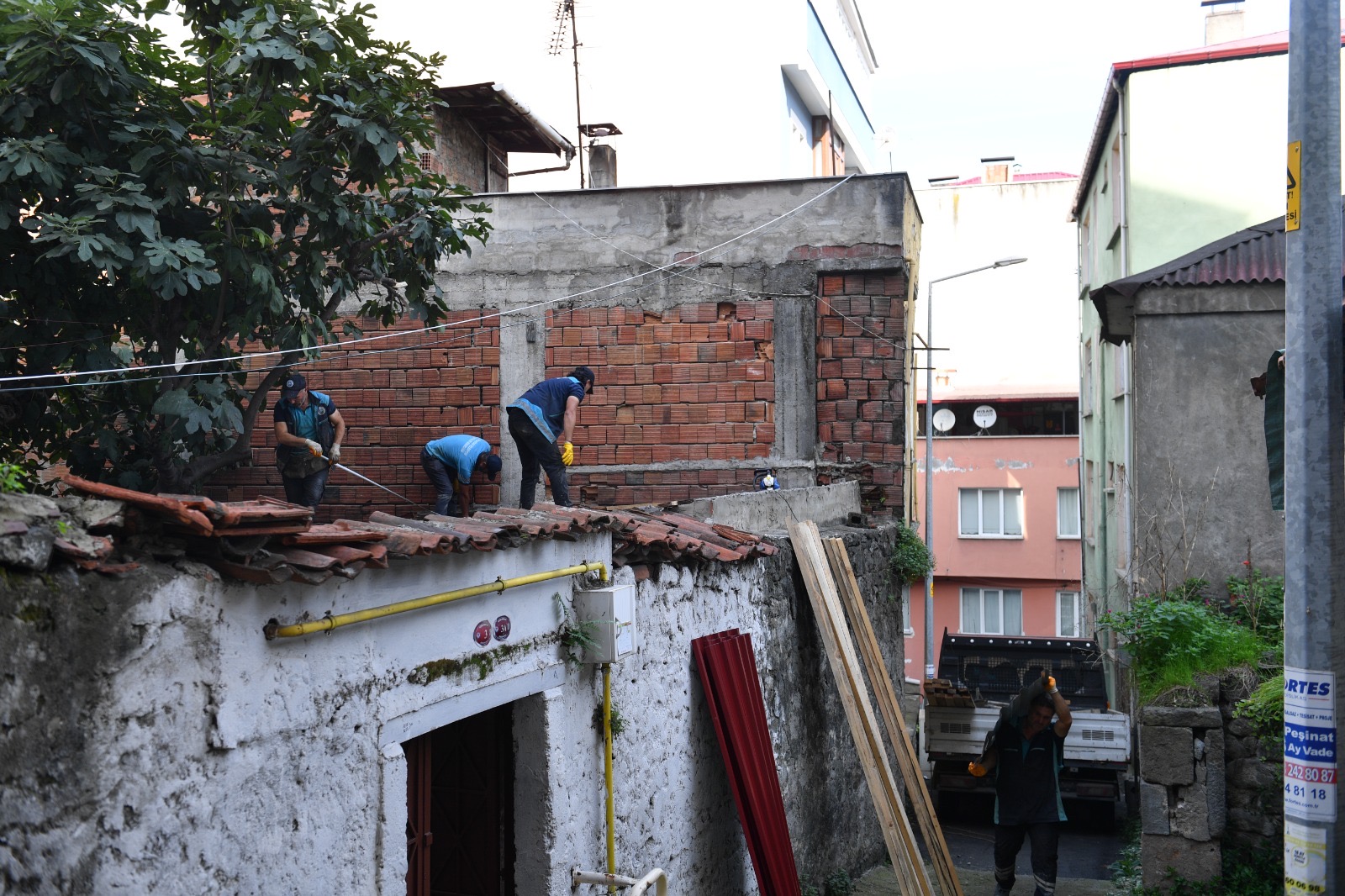 D396255E F5B4 40D4 9109 4E50C15Bc15C