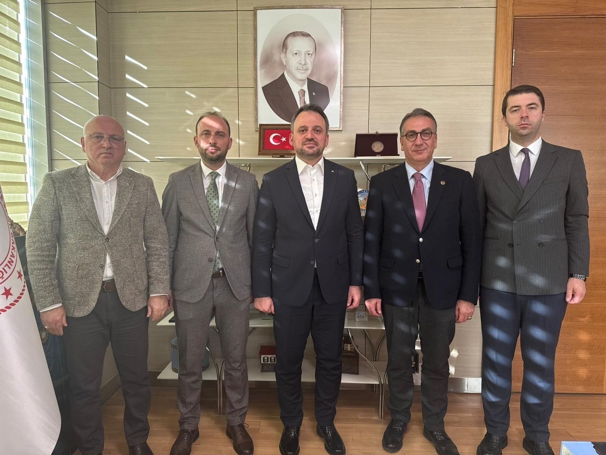 1D80A611 20B6 4729 A686 72Ad40B7356C