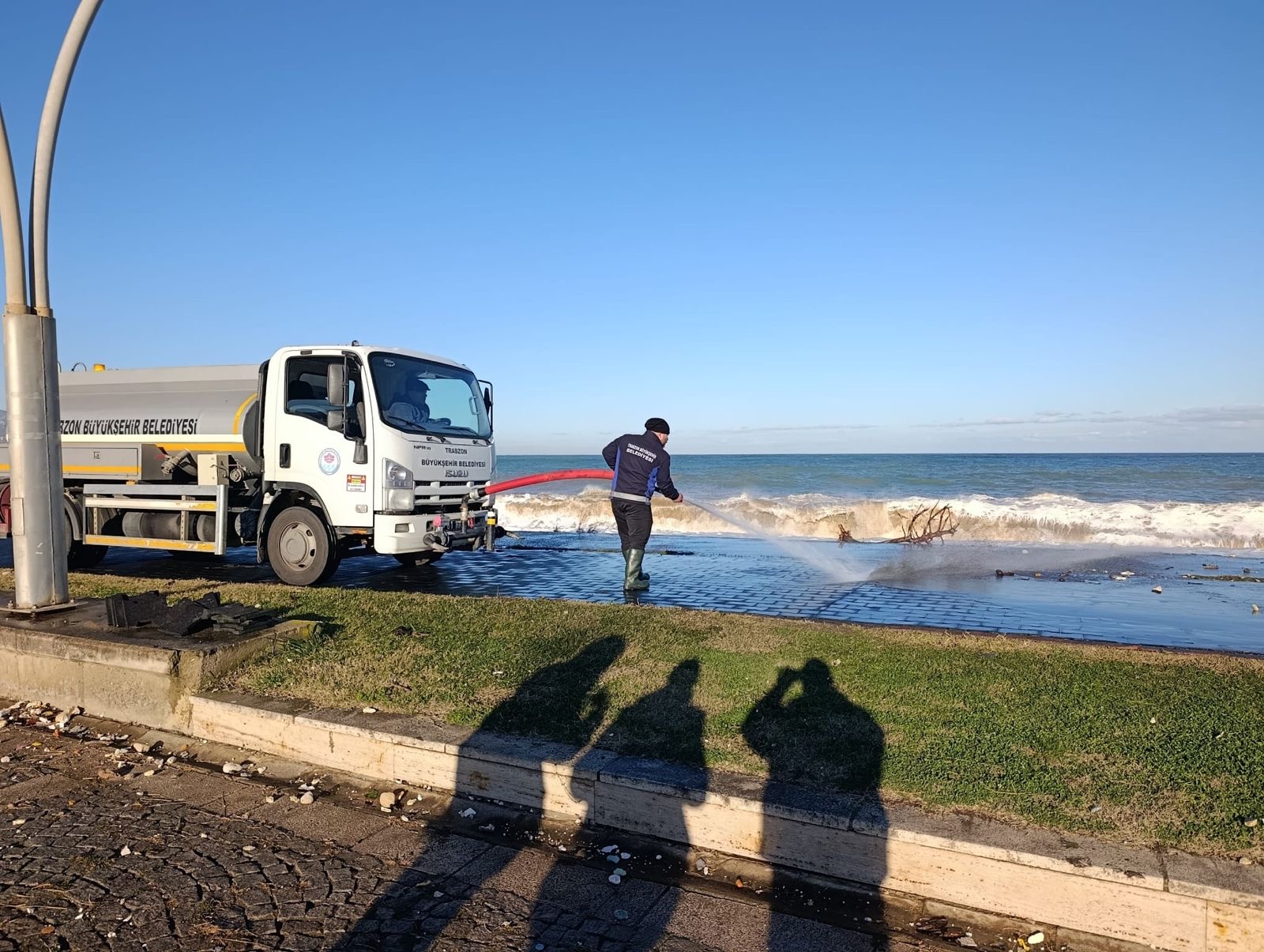 3063339D 255A 4545 B36D 3Bd5Cedd3Dd3