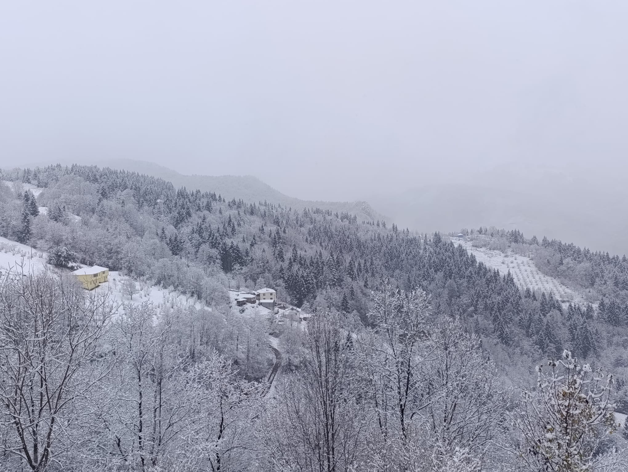 342Ee16E Bb4F 4659 Aef7 60A72562F3C0