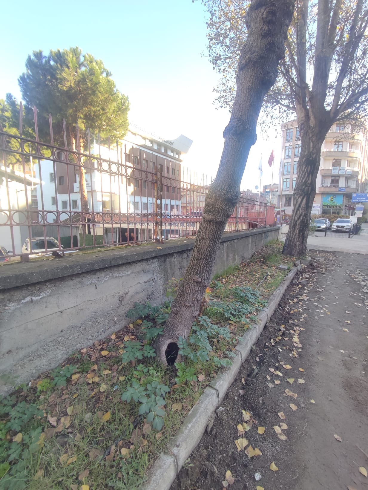 64810F18 77Da 4A06 A42A 2F0D45Eb73D2