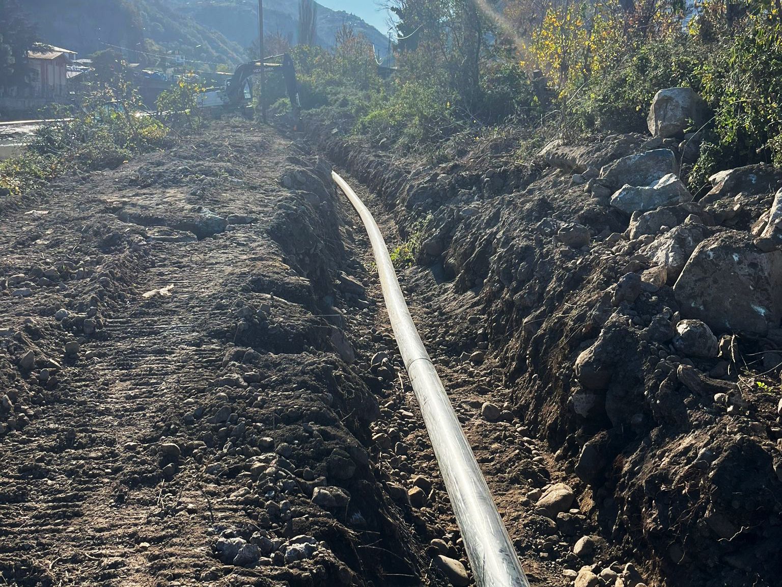 E1A070Bb 7D8D 4Ff4 Af98 9D0694F7Bc3F