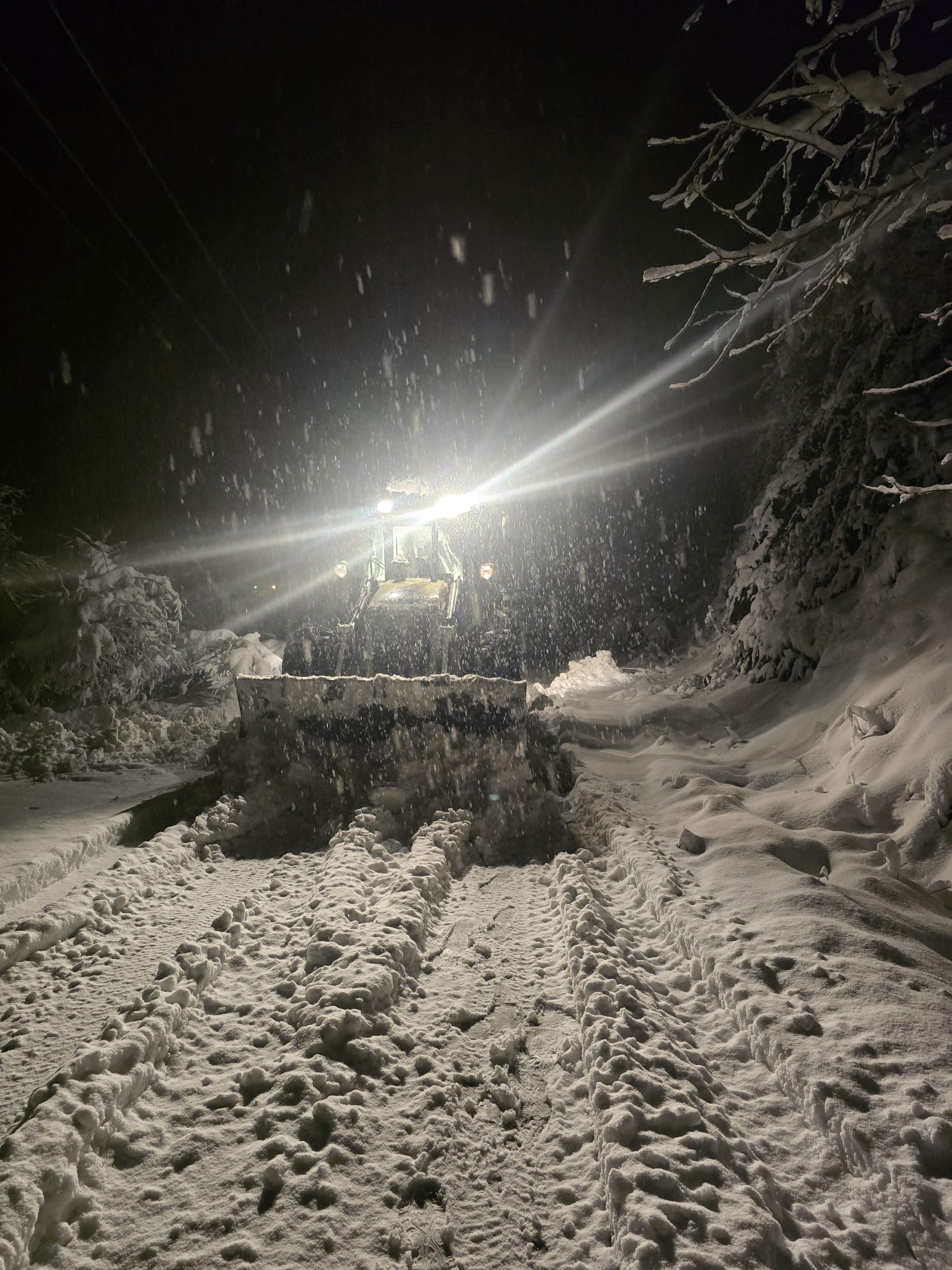 115B961D 69E3 4Fe5 A307 7B84073B9Ced