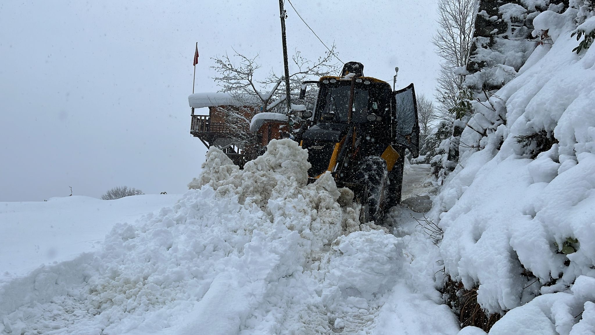 141C4C01 Cc59 4C15 8530 17443E3Cbef3