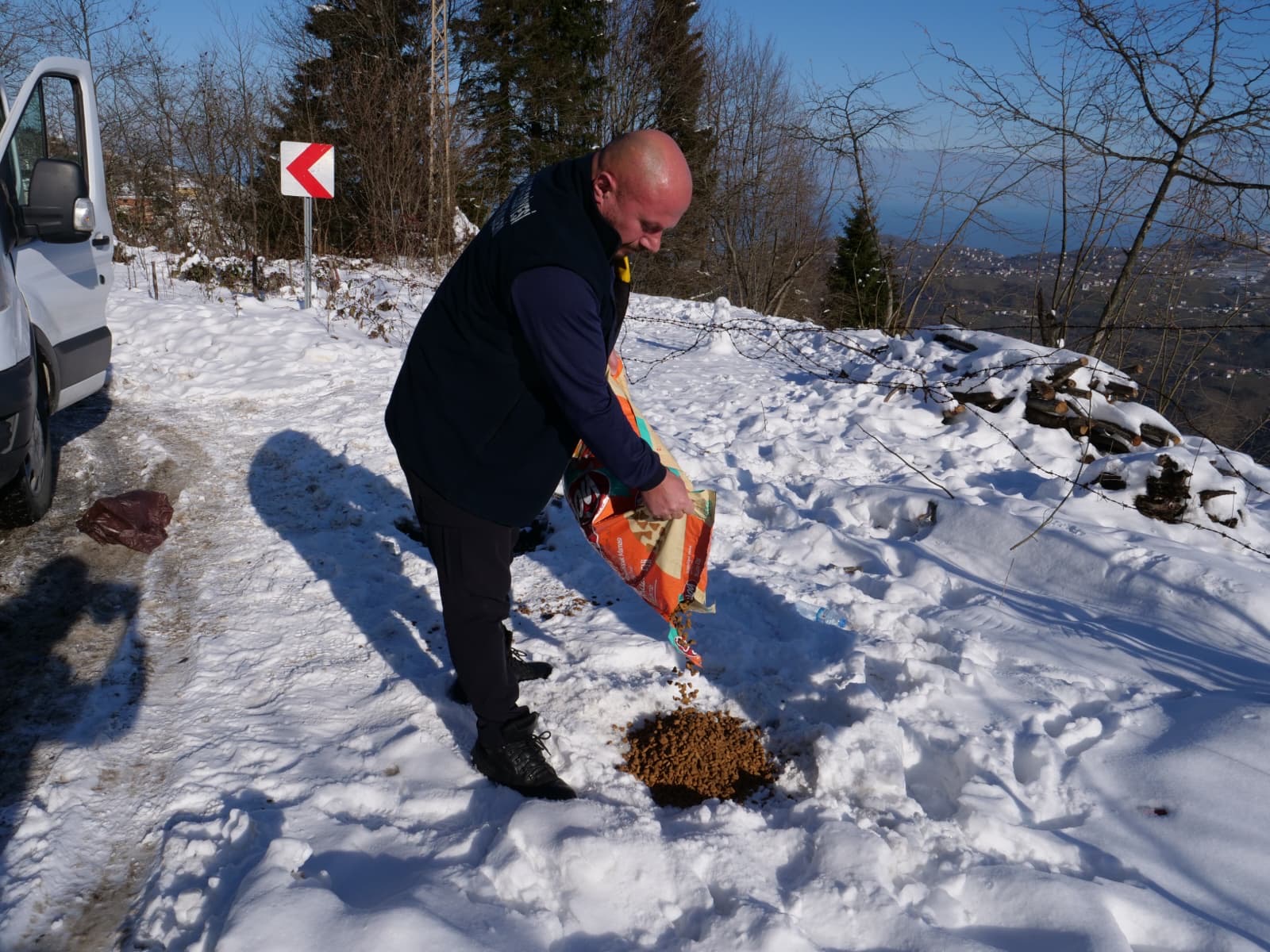 168Da0D2 D5C2 48F4 B7C6 86241542021C