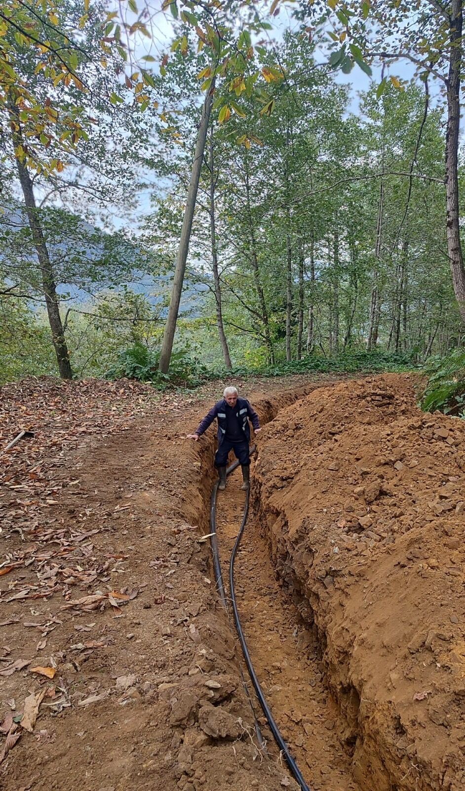 3D1D1Fa7 5765 4Bc4 A9A7 Da4Cca5A4181