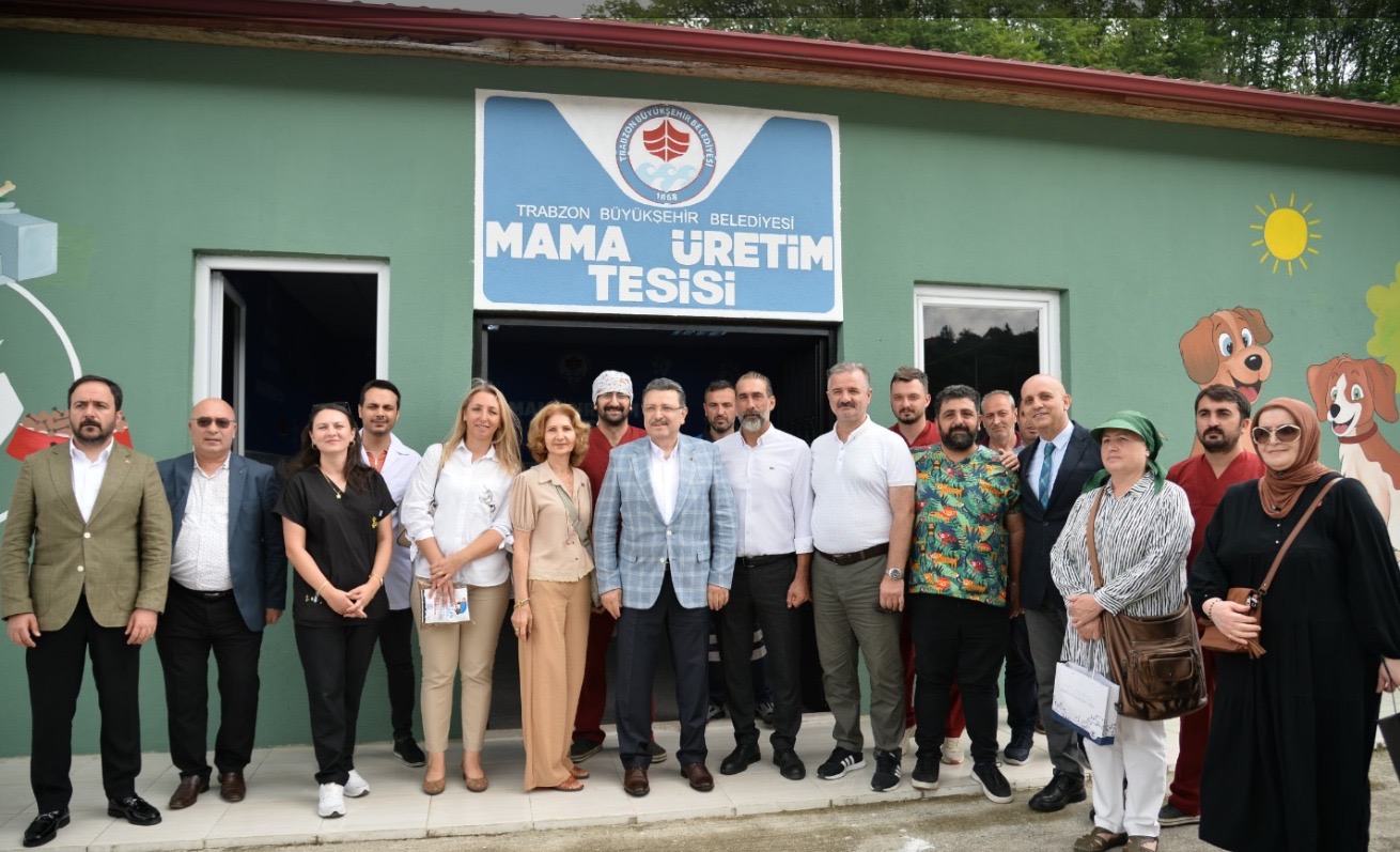 3Fc6Fdde 905C 469E 86D2 2Dcb7D5C8B37