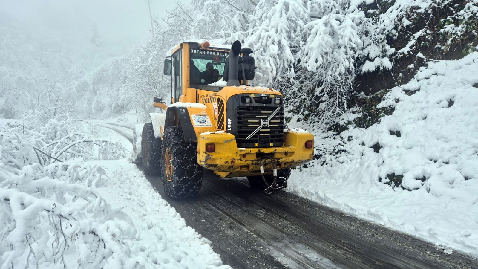 409A179C 51Bc 4A25 9D28 Dff1D7Eac575