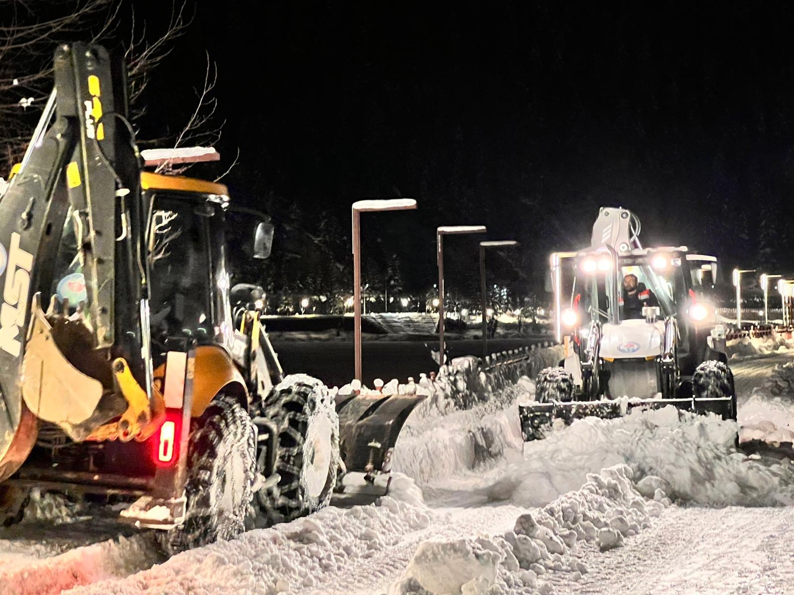 41Bfdc12 2A08 44Ab 8Bd8 D1071157F327