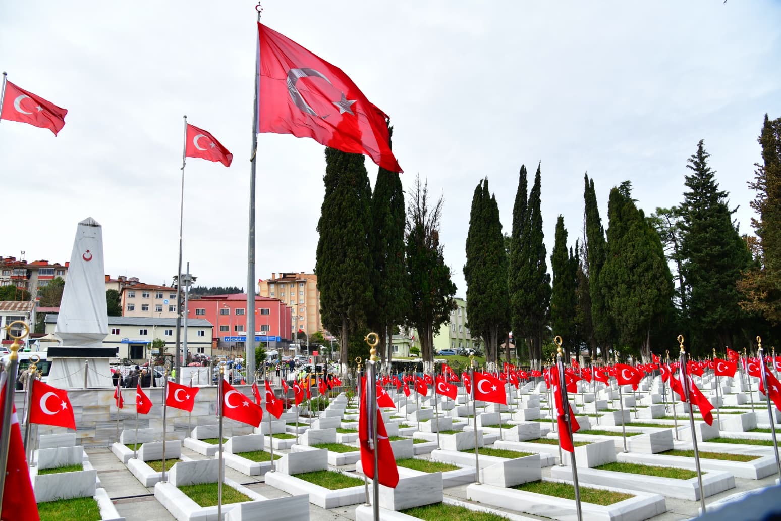 536Cf813 Da4E 49Db Acab 3A9E9D8D1C56