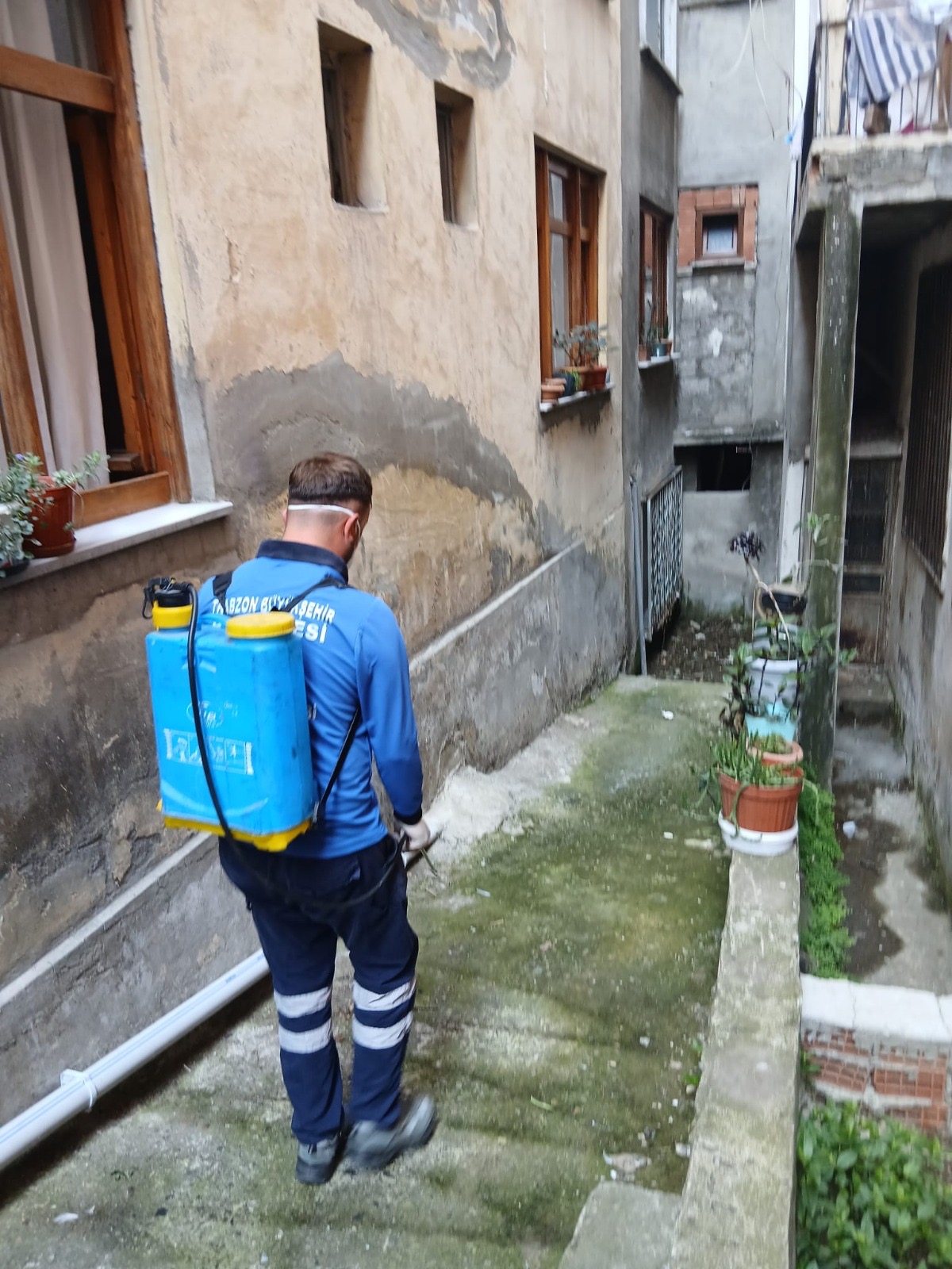 56D0D7D8 B709 49E7 8481 13325Ac3265D