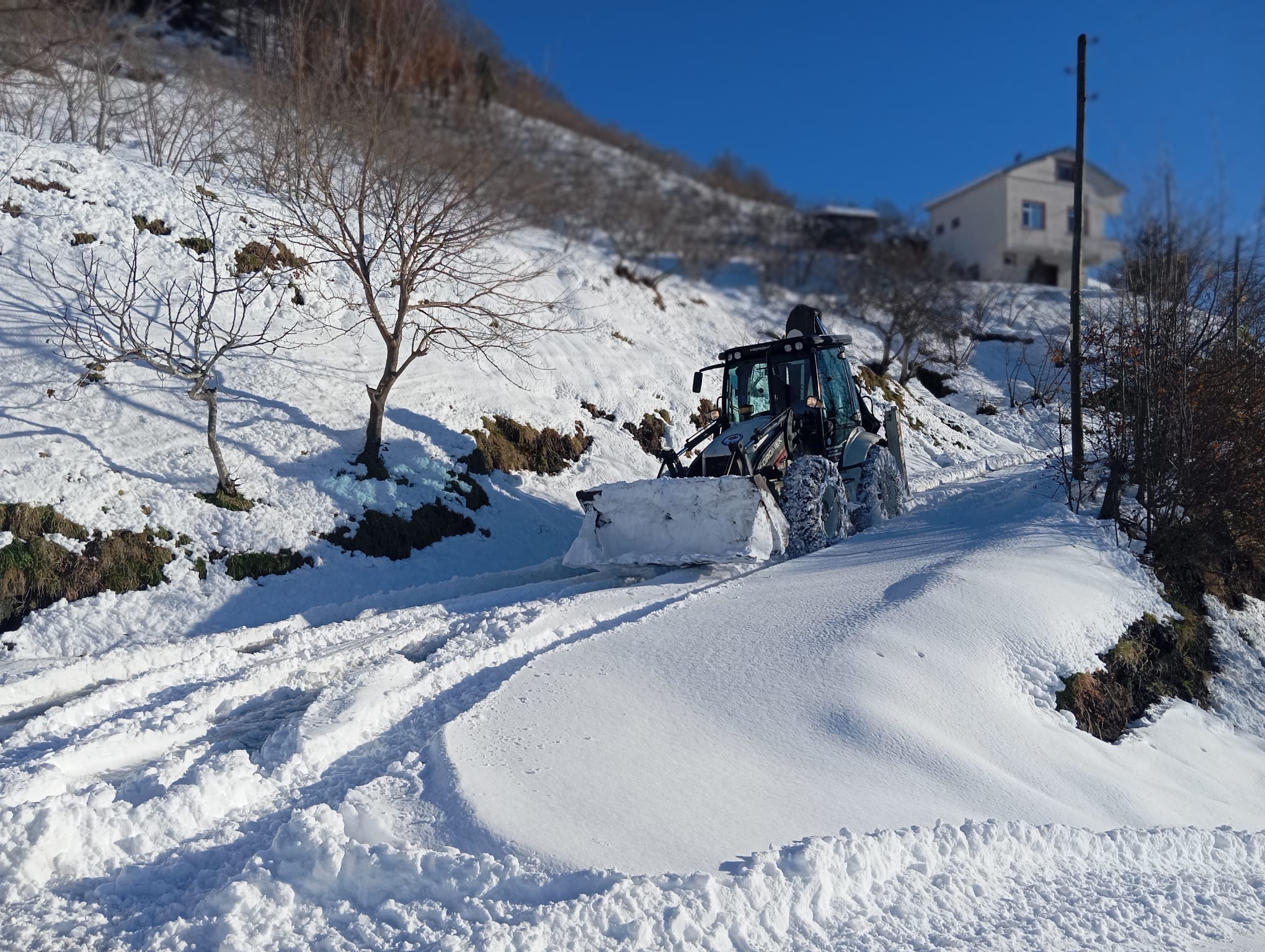 5Eb91C1D 1310 4Cdf A924 12608E742E72