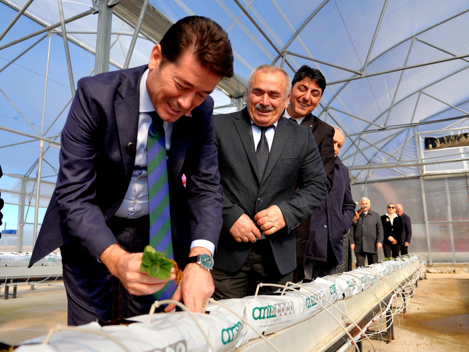 72F68E4D Db00 4307 A4F0 8D19E088Dca3