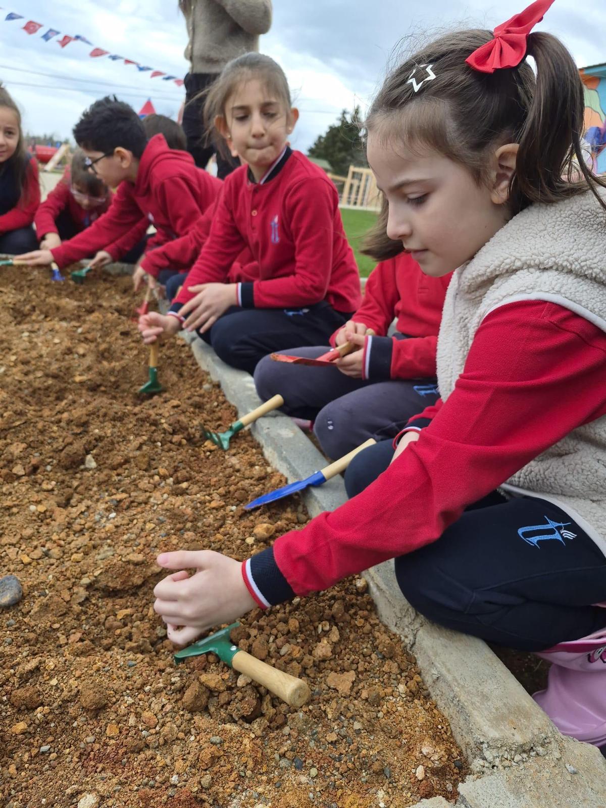 789E9Fde 3Eb1 4D15 9F64 27Da82Eb4913