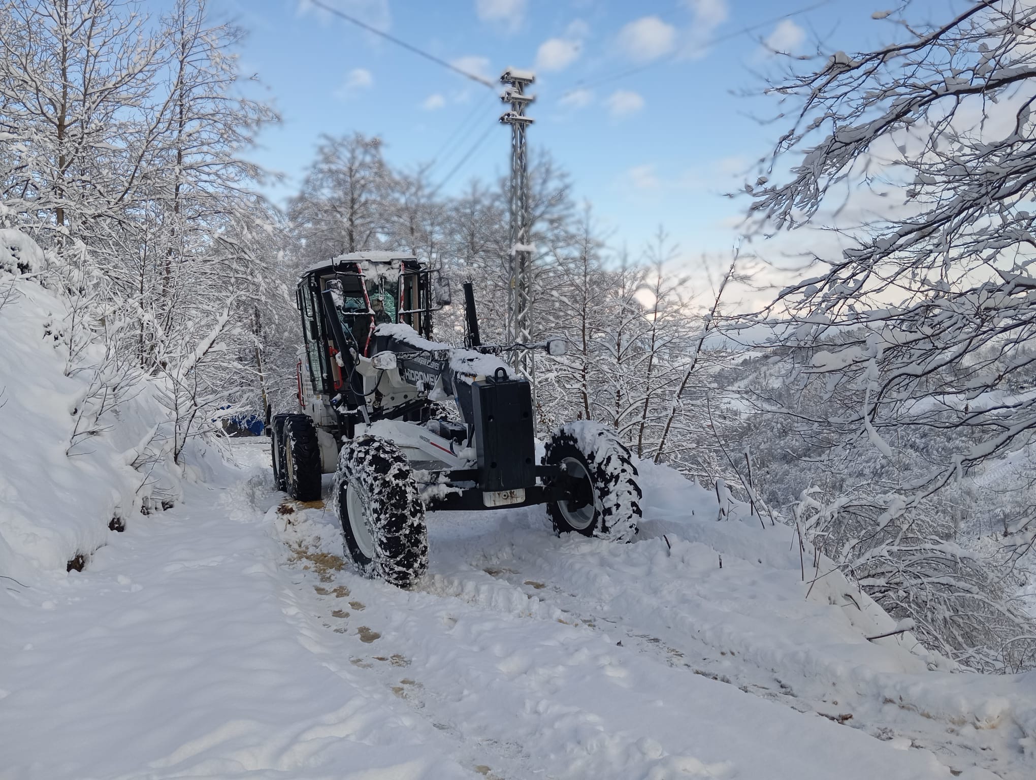 79E5Cae0 B946 49F9 876E 083C929E21A0