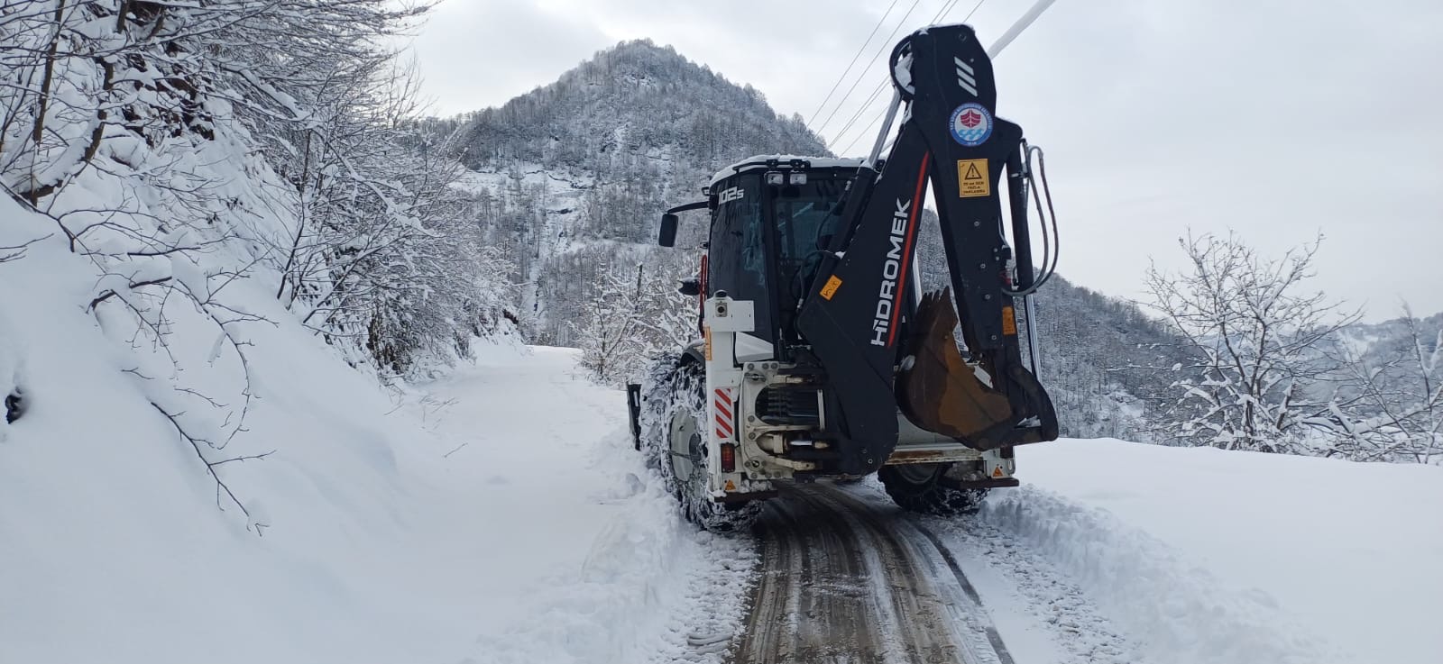 85A09B44 93B1 4D19 Bcb2 317307Cf33B8